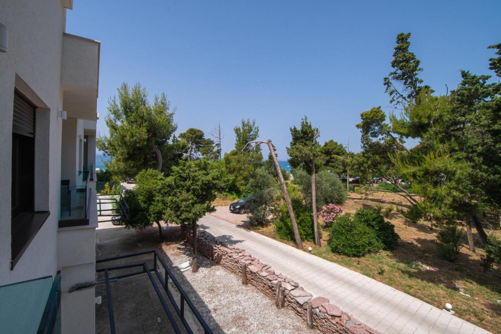 Zia Apartments Бар Номер фото